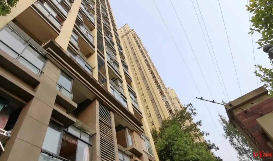 成都一小区内天降乌龟，路过女子被砸得头破血流