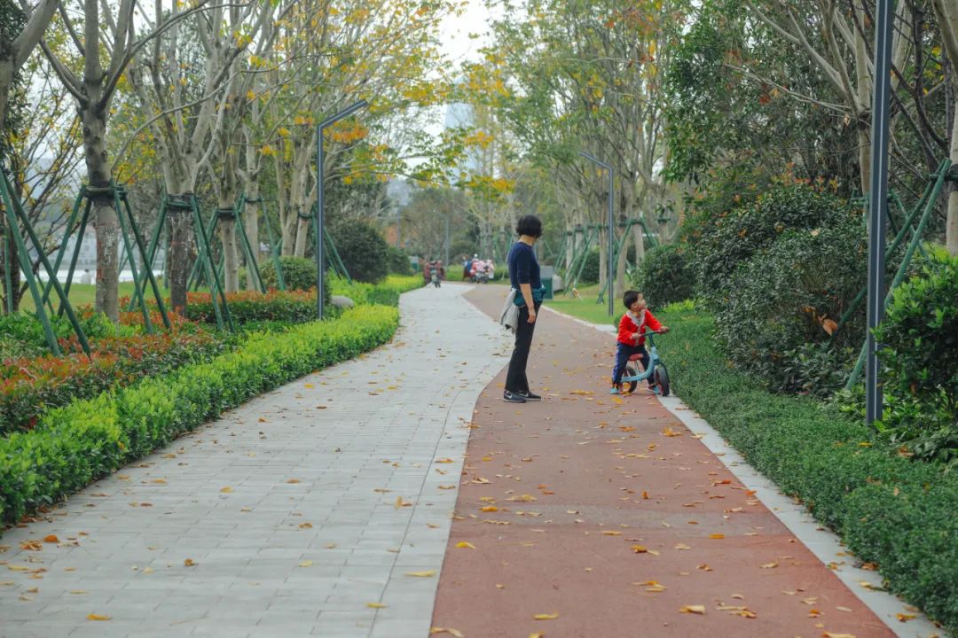 江北打卡公园,有颜值更有内涵