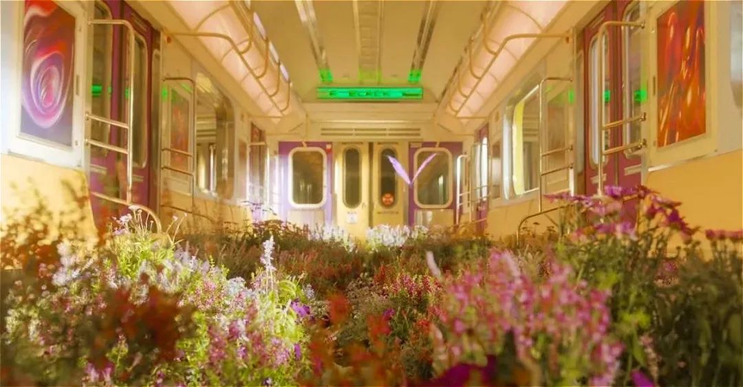 sm新女团出道播放量超粉墨,sm新大型女团