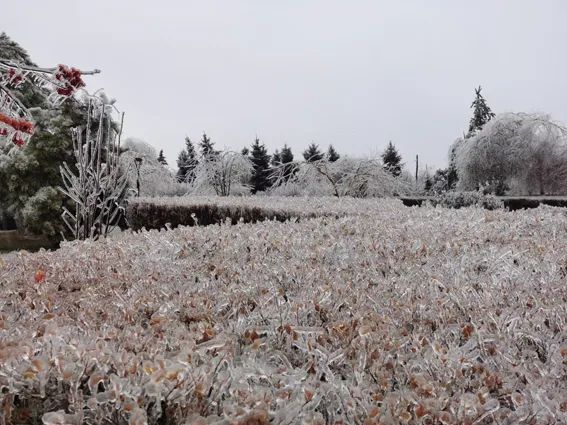 延边滑雪东北已率先进入雪季,延边开启滑雪季快来嗨翻冬天