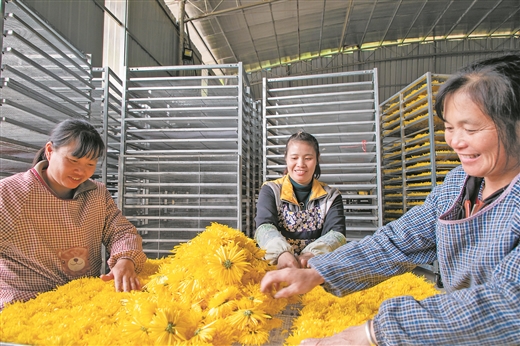 力克难中之难交出完美答卷｜广西脱贫攻坚收官特别报道