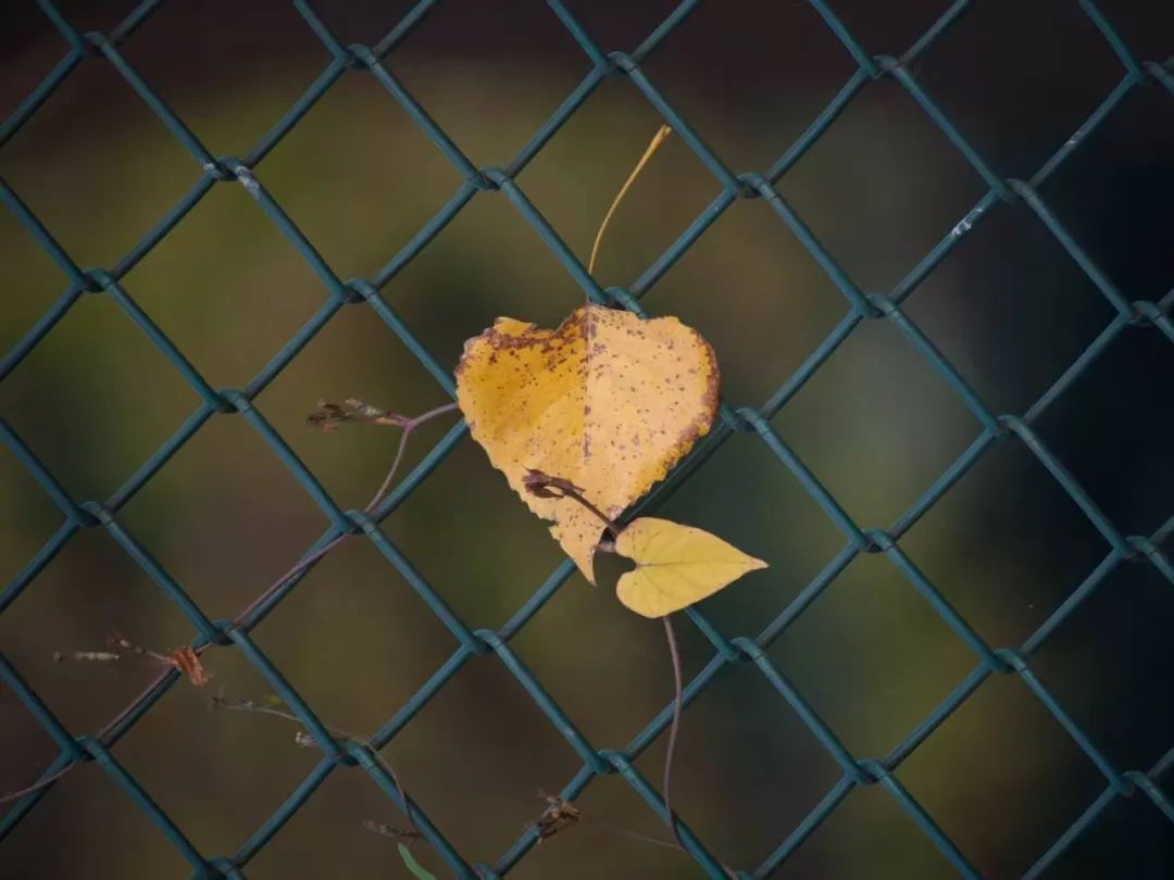 清北现在的情况,清北最新消息