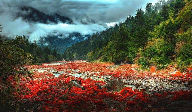 以山川为歌，奔赴一场和远方的约会