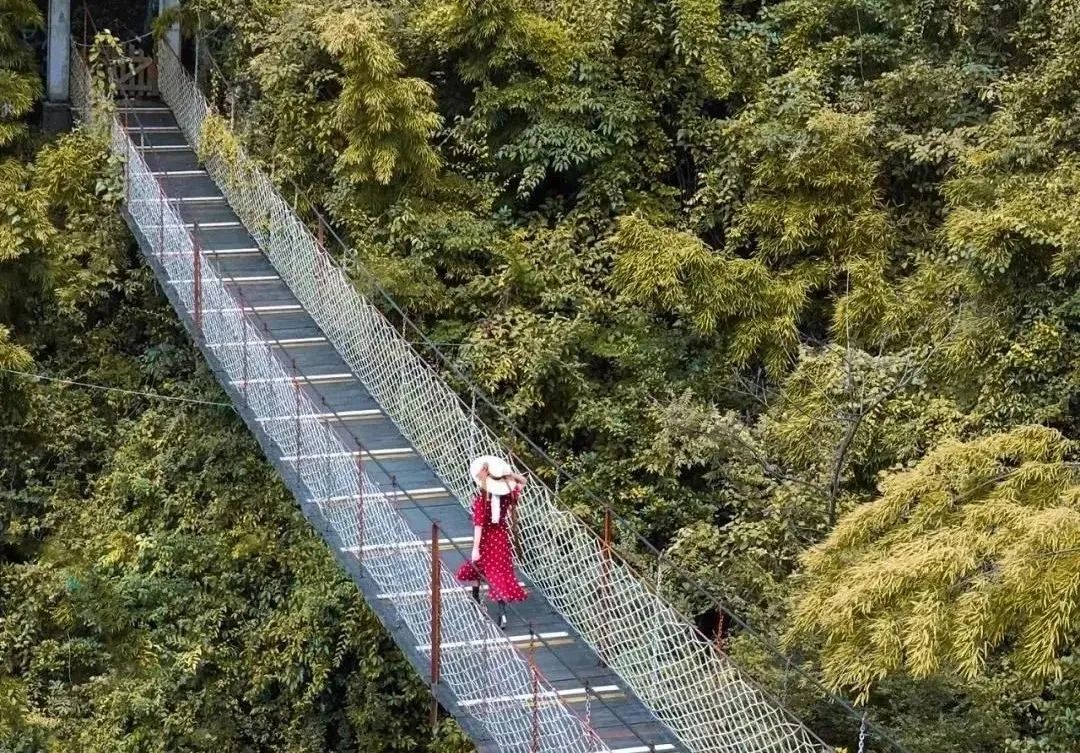 「沸点时刻」今夜我们都是干饭人！柴火鸡、烤肉、仙都酱板鸭、9.9元洁牙等！更有大牌美妆低至4.6折