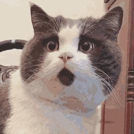 小心！乱用微信表情“666”可能会被打