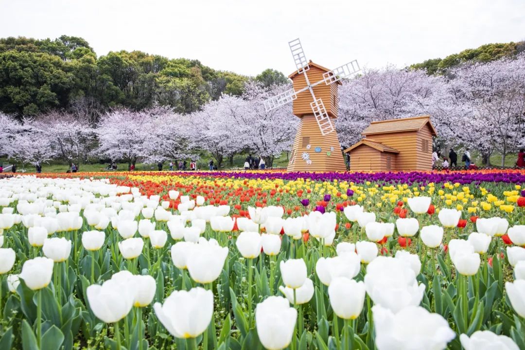 3号线全程讲解,3号线一期完整线路图