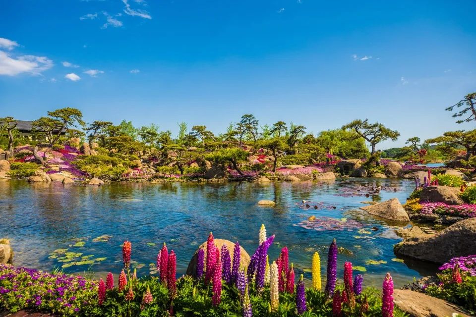 “一带一路”峰会北京雁栖湖夏园景观改造/源树景观规划设计事务所