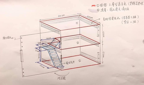 豹纹守宫的笑脸,微笑豹纹守宫