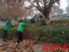 孩子在学校受伤判决学校无责,学生在学校被同学绊倒骨折赔偿