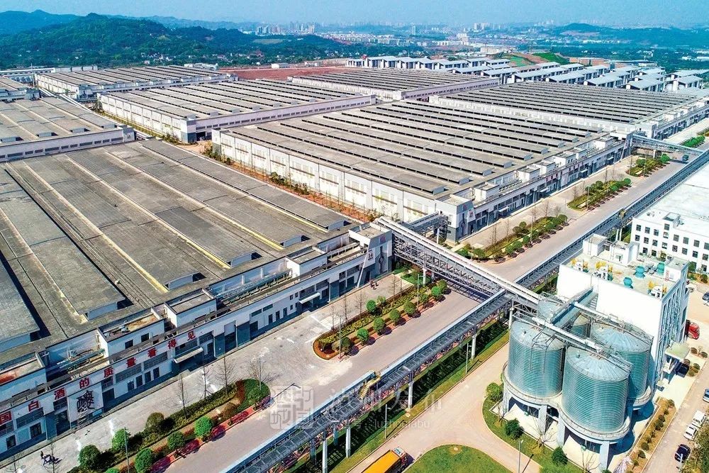 砥砺奋进的五年丨千亿近在咫尺！“变”与“不变”看泸酒