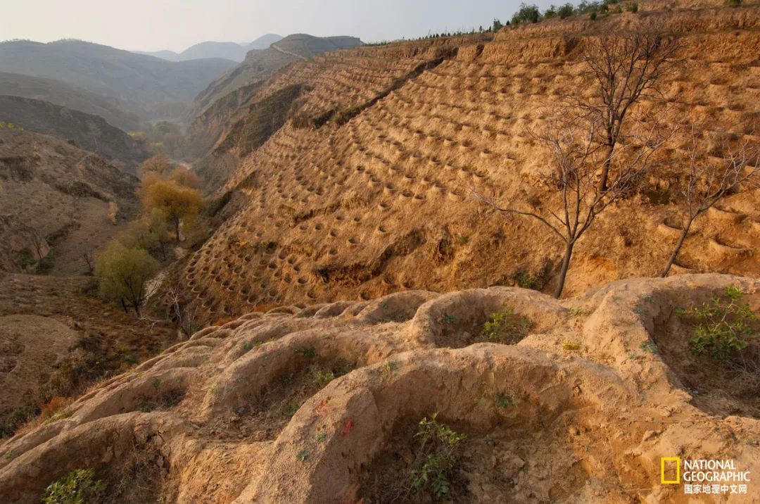 土这种物质，可太冤了