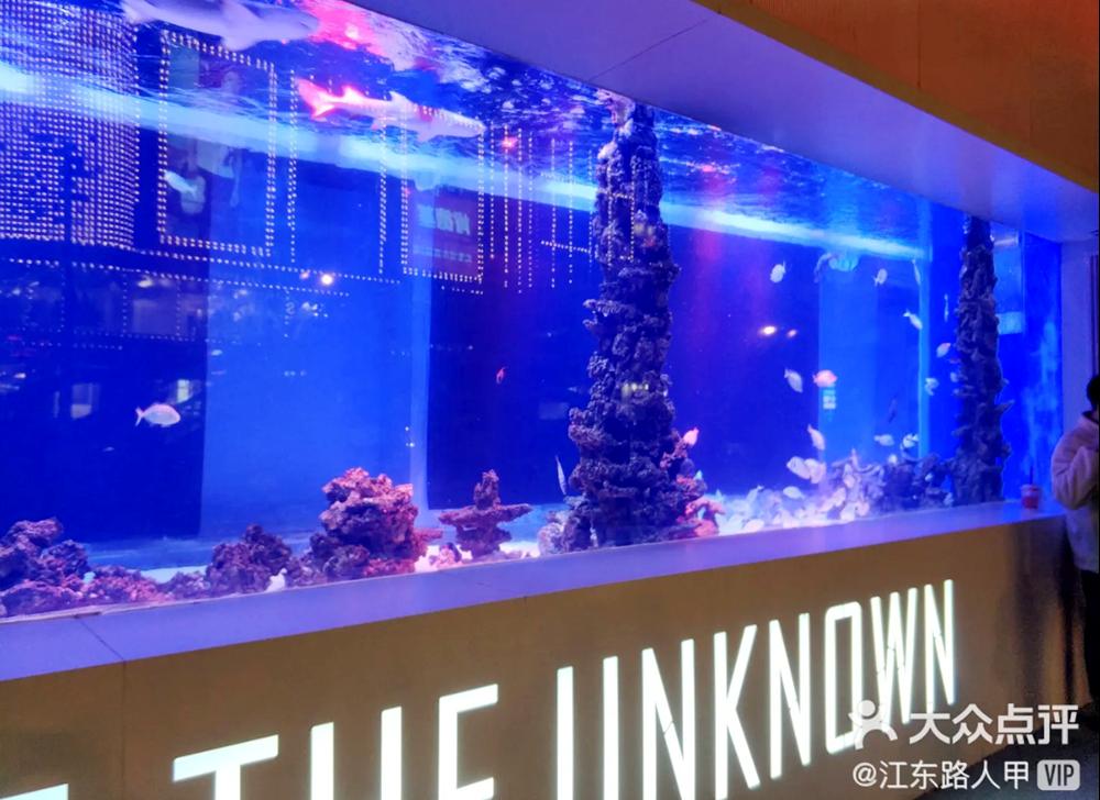 成都又新添一大波“明星店”!关晓彤的奶茶、黄晓明的复古烤肉、网红厨师王刚的秘制卤菜…都来啦