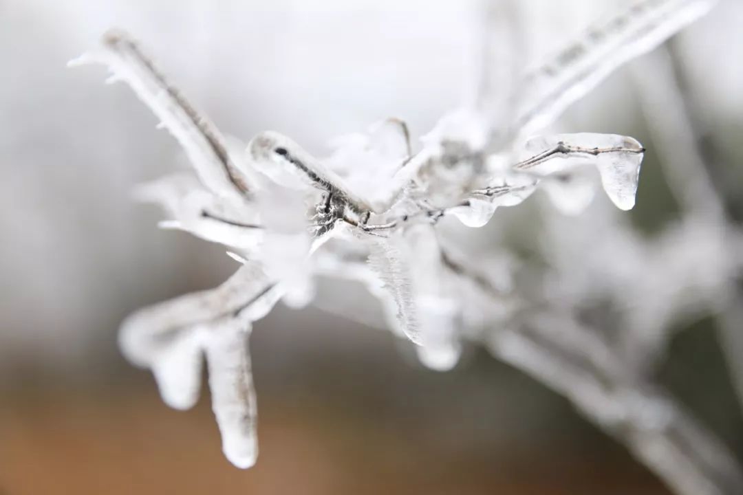 南昌冬天小孩玩的地方哪里好玩,南昌冬天适合去哪里玩