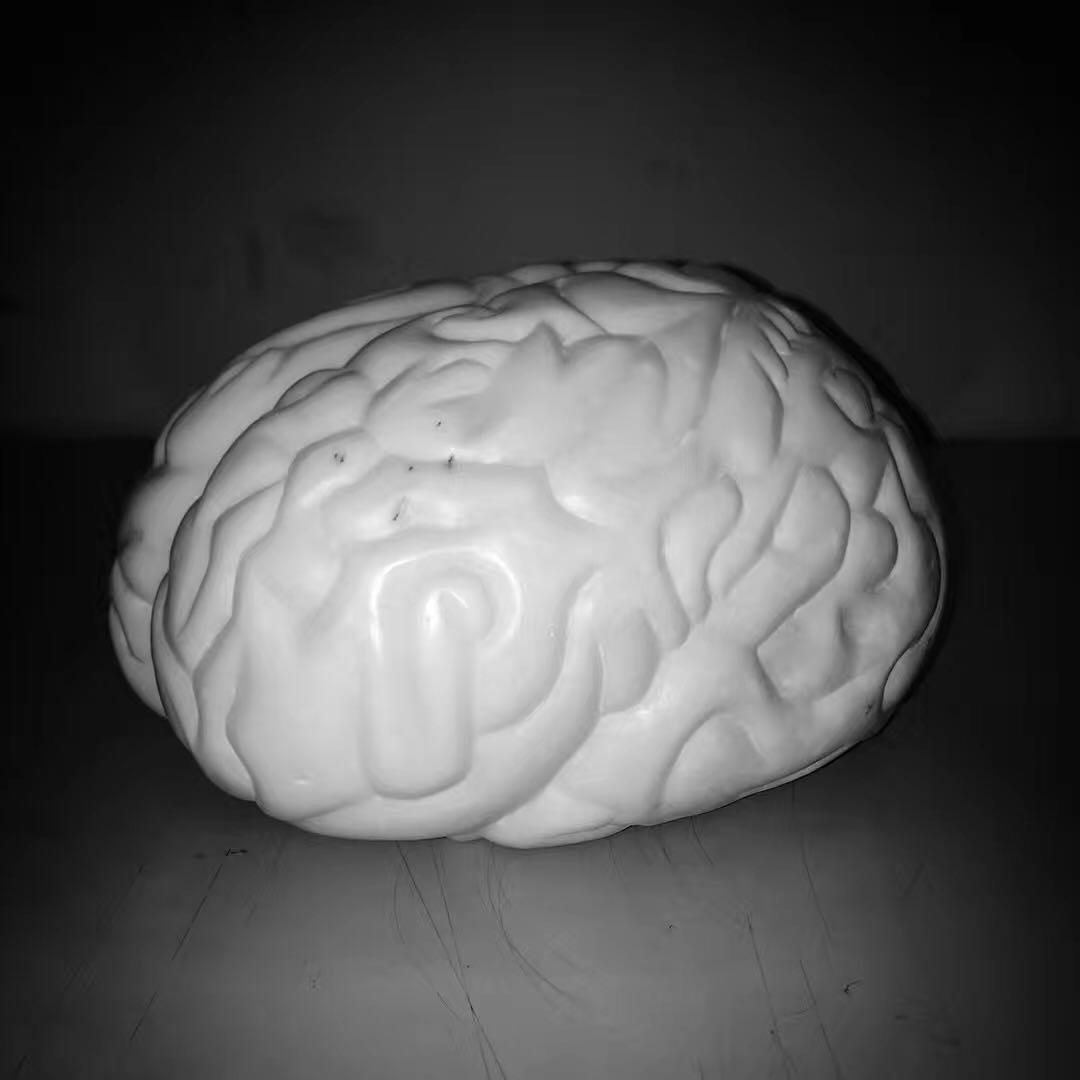 newwave新浪潮作品赛,厦门newwave新浪潮