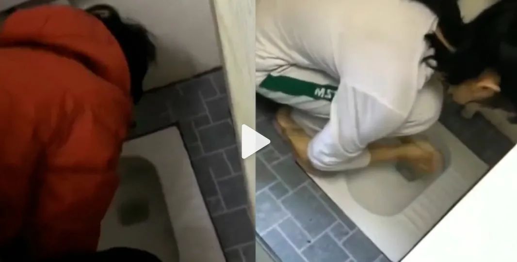 12月11日|新早读！网红涉嫌销售假燕窝被立案调查