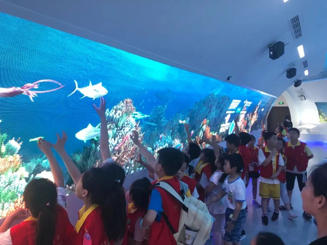 定海游玩推荐适合带孩子,舟山定海带娃好去处