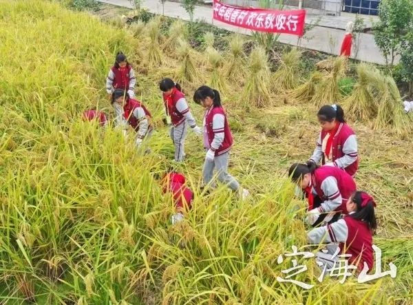 定海游玩推荐适合带孩子,舟山定海带娃好去处