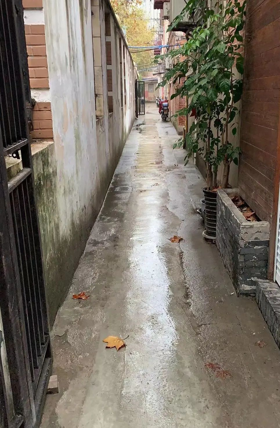 重民生赢民心,今年要办这五件民生实事