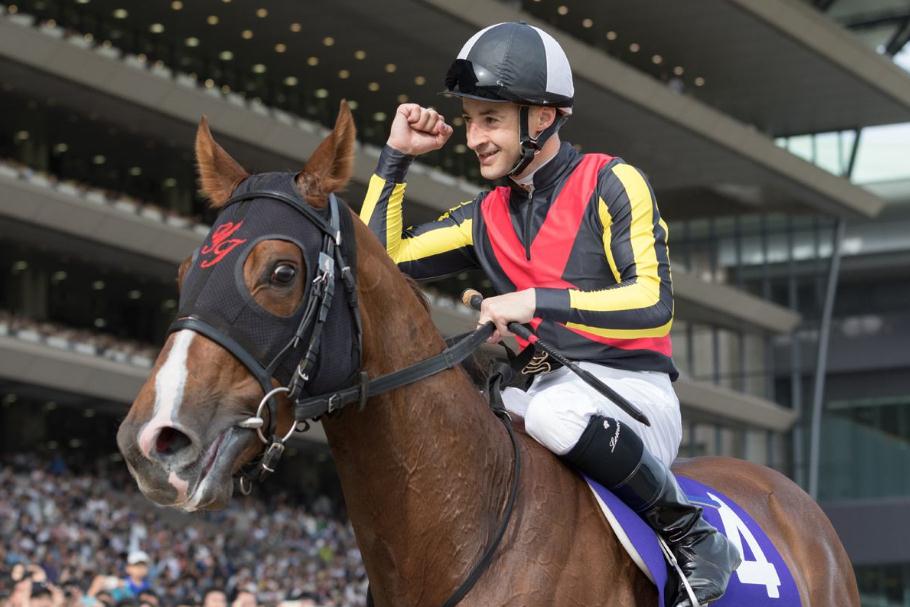 楠戝笀鑾泤,缁濅笘濂藉伐