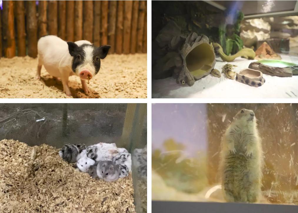 嗨游青岛享悦冬季|美妙的科创海洋之旅，解锁冬日遛娃新玩法！（文末福利）