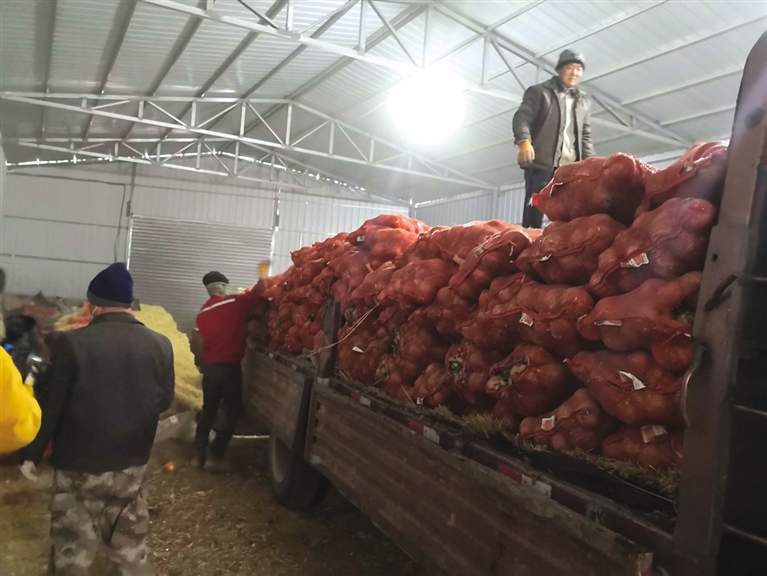 开网店年销两亿,酒泉洋葱销售平台