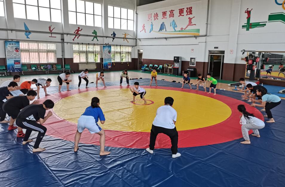 体教融合模式,体教融合加快发展