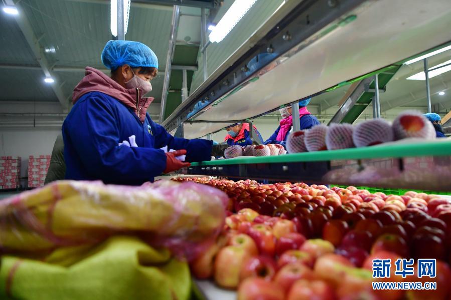 银西高铁感受,银西高铁每天运行