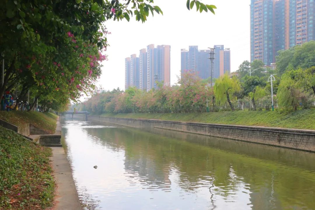 鍏卞缓灞辨竻姘寸瀹跺洯鍥剧墖,鍏卞缓灞辨竻姘寸瀹跺洯瑙勫垝