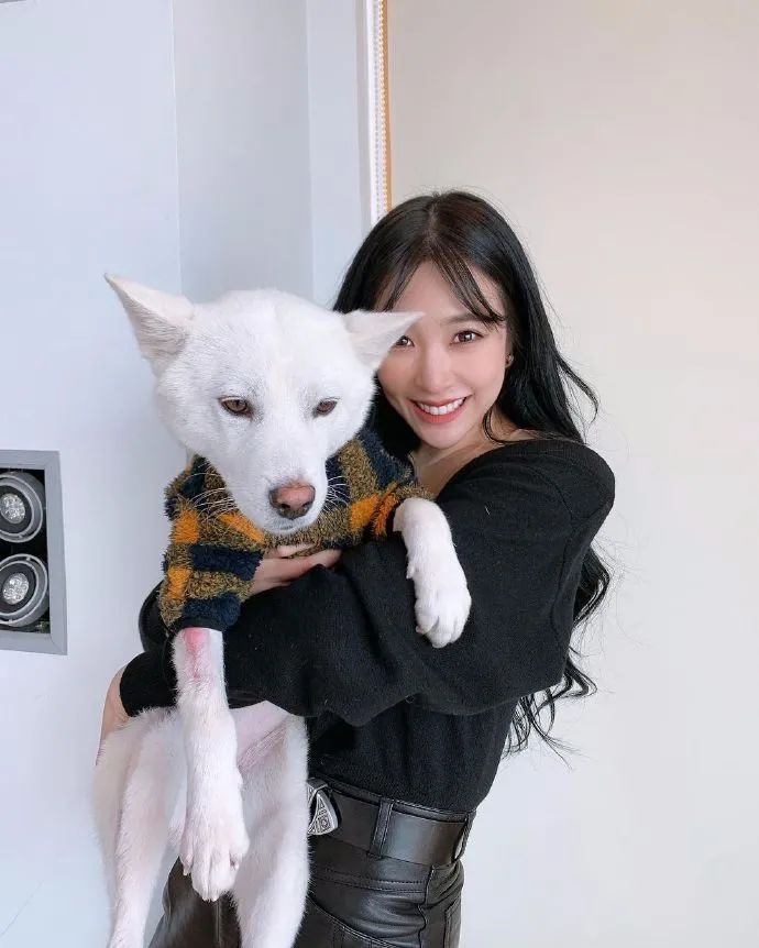 钻石美貌,欧化了TiffanyYoung真像韩艺瑟和徐睿知的合体