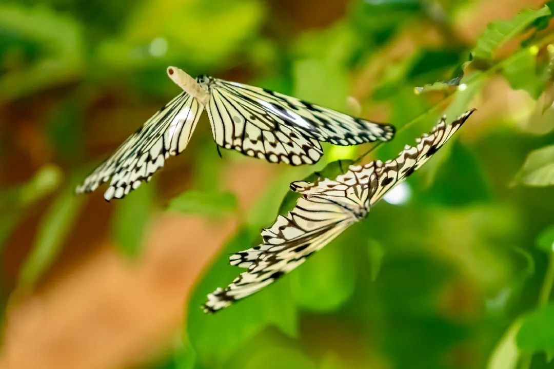 沂水冰雪童话大世界,沂水冬季打卡地