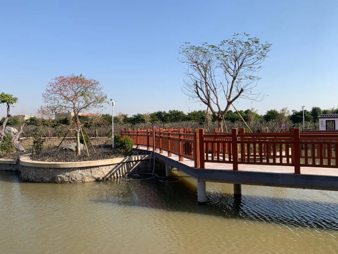 东凤公园最新通知,东凤公园今天最新视频