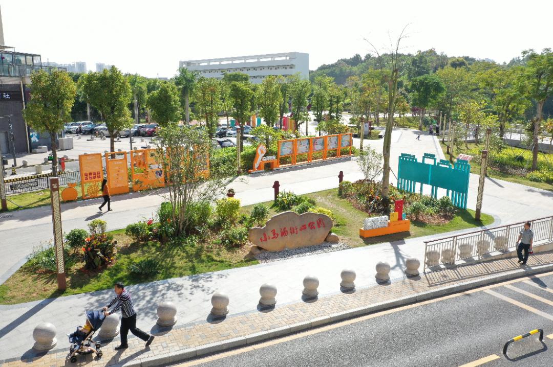 龙华小众公园在哪里,龙华中山公园