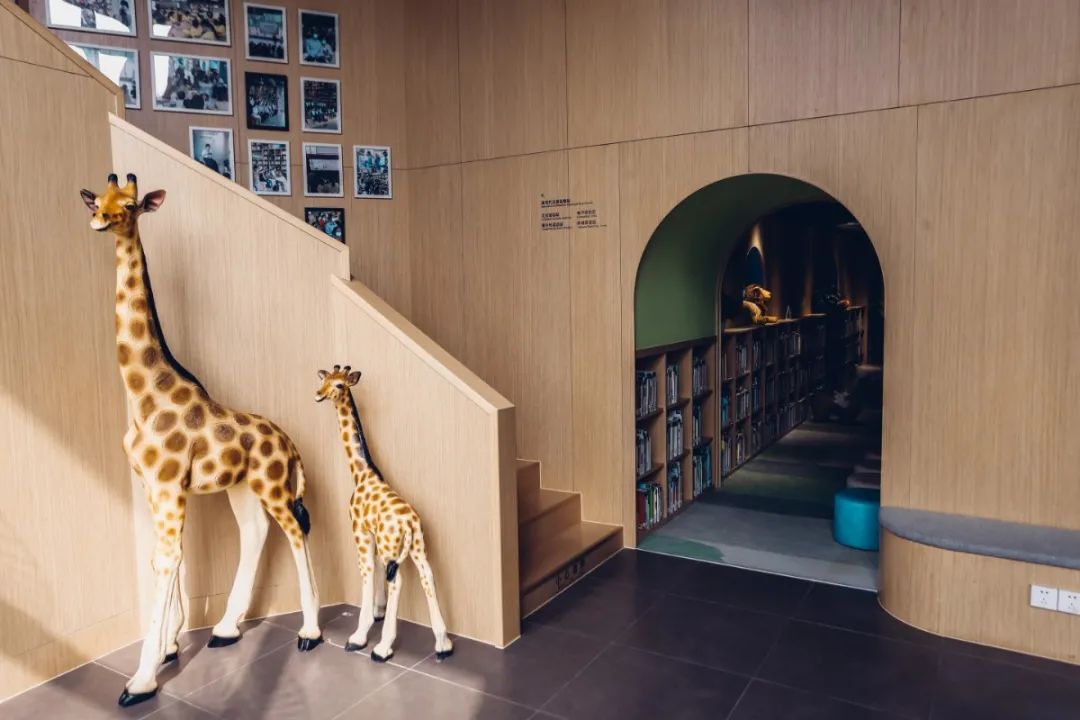 深圳值得打卡拍照的地方10月份,深圳绝美打卡地三月份