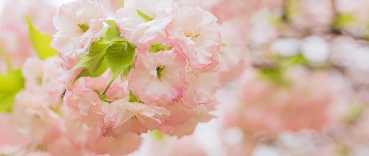 社群运营怎么切入群聊,微信群教社群运营