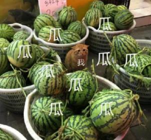 智慧输出|风险赛道比拼落幕，脑力玩家造就三大高光时刻