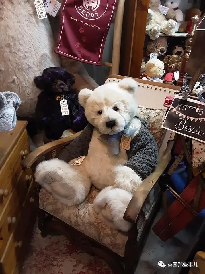 她治好12500只泰迪熊，用毛绒绒治愈自己和无数人…