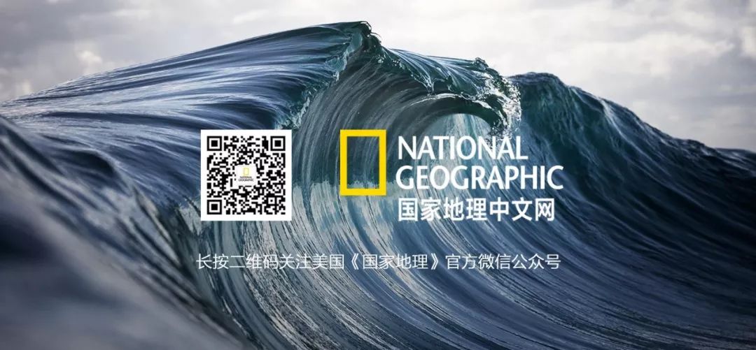 各路财神图,各路财神到我家文案