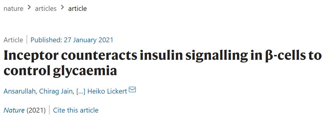 《自然》：糖尿病研究获重大突破！德国科学家发现调控胰岛β细胞“自嗨”的关键分子，或能从源头缓解疾病丨科学大发现