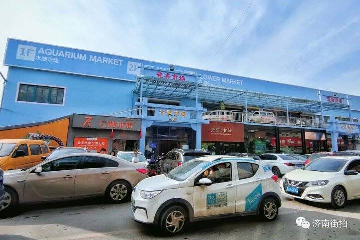 济南花卉市场哪个最大最出名,开放的济南花卉市场有哪些