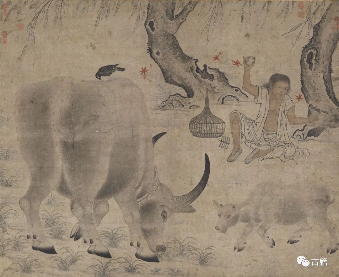 丑牛的闲话视频,闲话丑牛完整视频