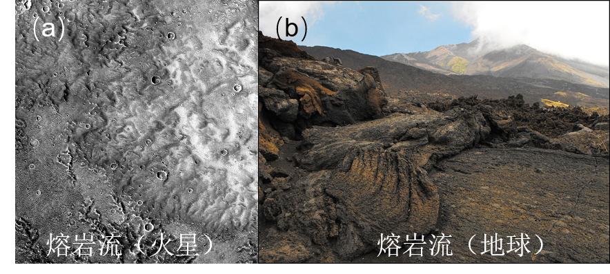 天问少年逐梦未来,天问逐梦进博会