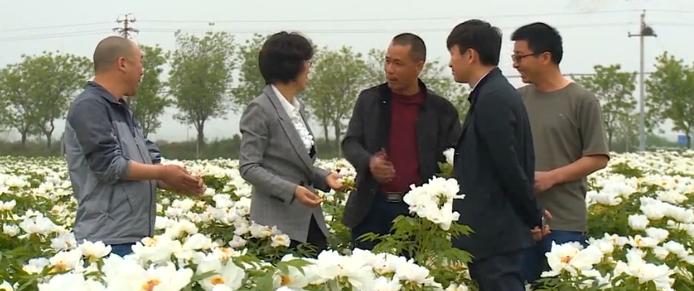 做孩子们的“圆梦人”!看上海师大、西安科大、青海师大的扶贫故事|教育脱贫攻坚微视频接力㉖