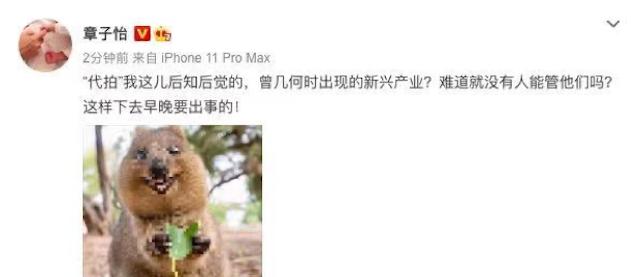 揭秘灰色产业链,揭秘饭圈灰色产业链