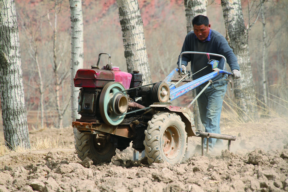 河湟大地暖流涌动,河湟大地抓项目热火朝天