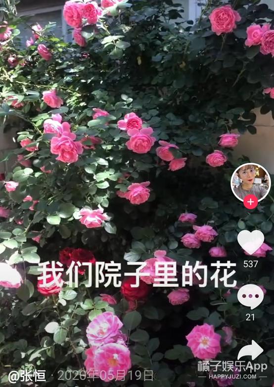 还珠格格小燕子和塞娅公主打架,还珠格格第一部塞娅公主身孕