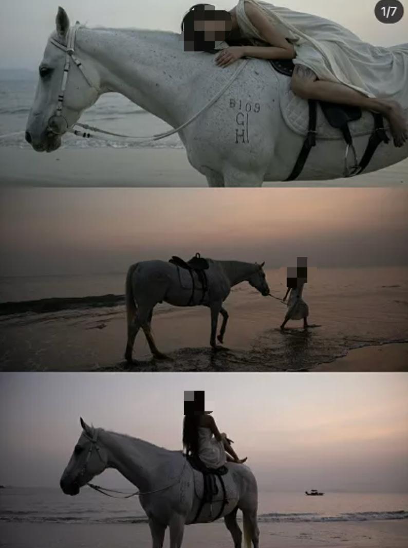 一马难求！网红在逃公主风把马都拍涨价了