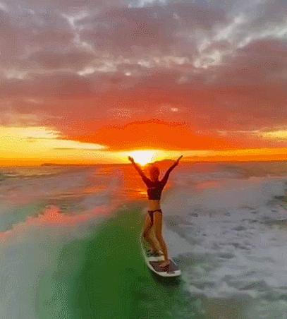 一马难求！网红在逃公主风把马都拍涨价了