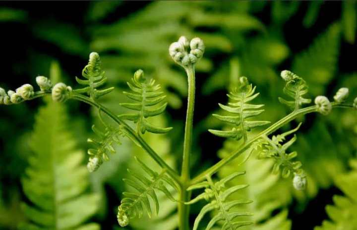 上帝的数字代码,上帝的数字7