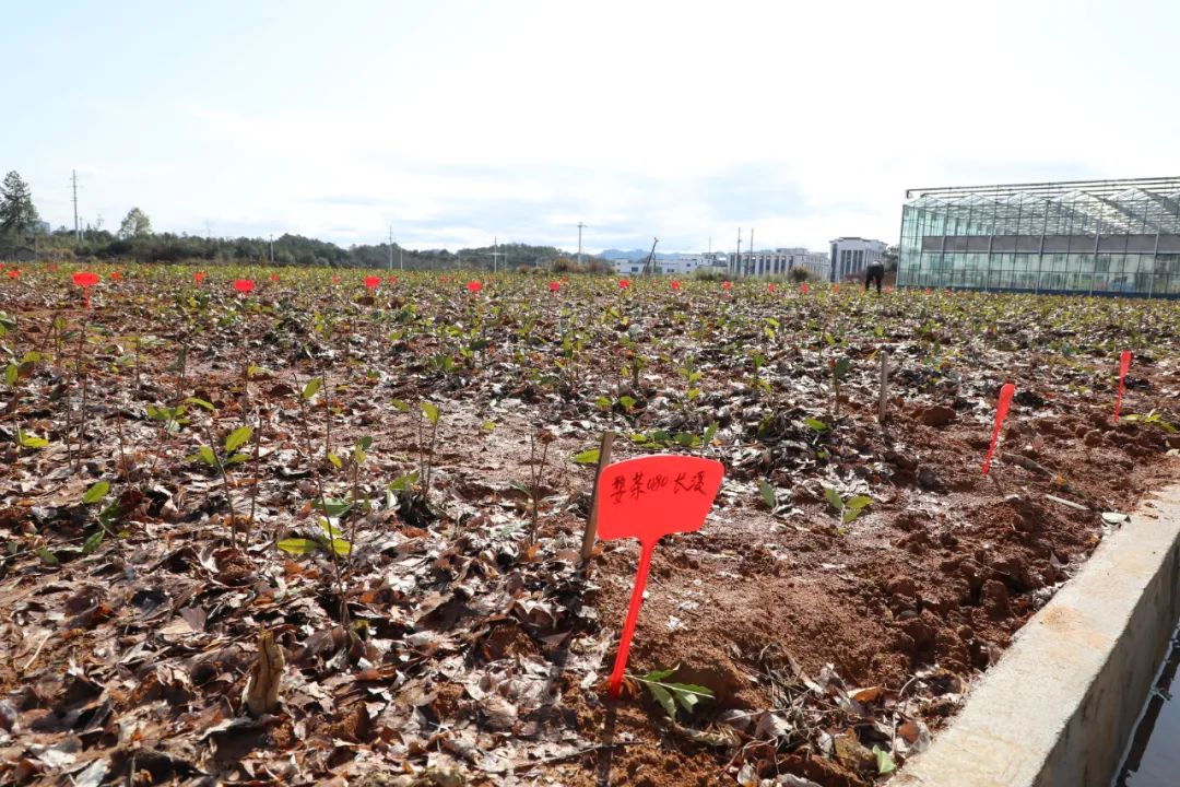 勇立潮头续写华章,勇立潮头继往开来