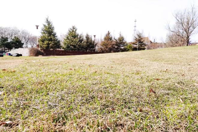 taycan冰莓粉沉浸式体验,taycan冰莓粉测评